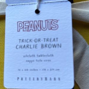 Peanuts Fall/Halloween Tablecloth